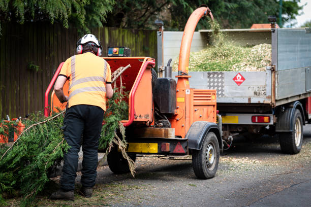 Best Lawn Grading and Leveling  in Copiague, NY